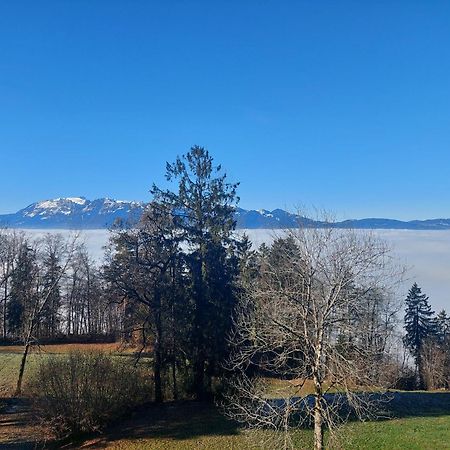Gemuetliche Wohnung Mit Talblick Batschuns Екстер'єр фото