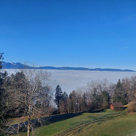 Gemuetliche Wohnung Mit Talblick Batschuns Екстер'єр фото