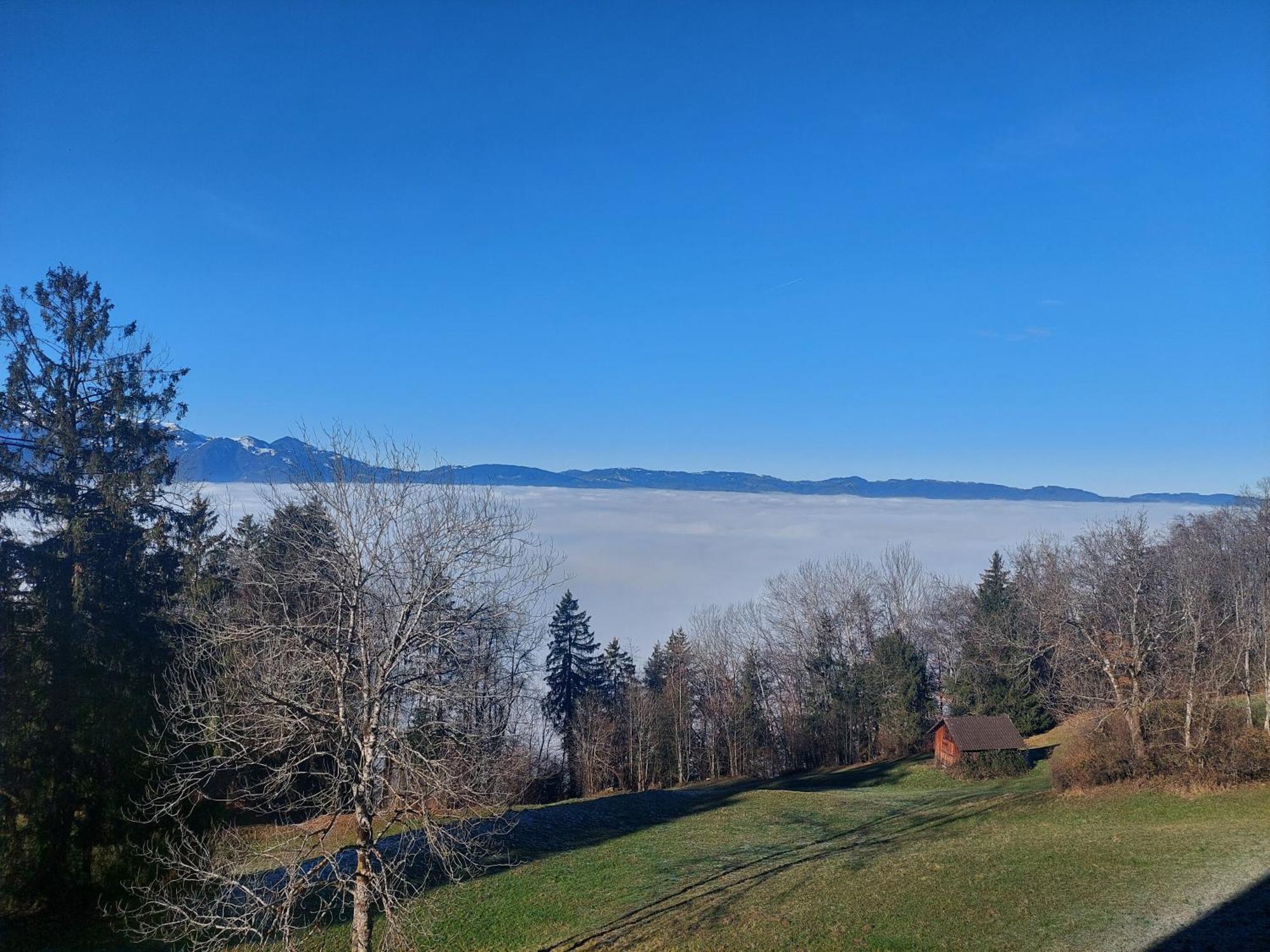 Gemuetliche Wohnung Mit Talblick Batschuns Екстер'єр фото