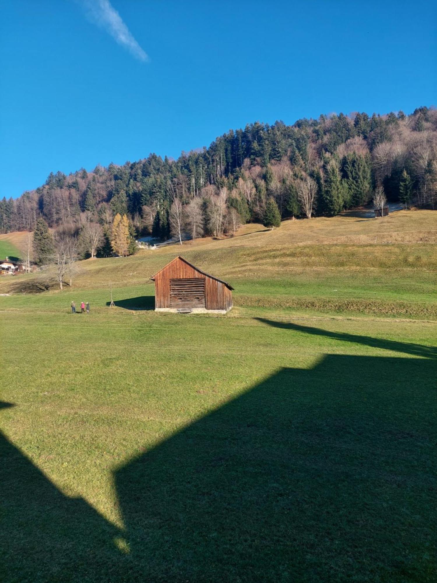 Gemuetliche Wohnung Mit Talblick Batschuns Екстер'єр фото