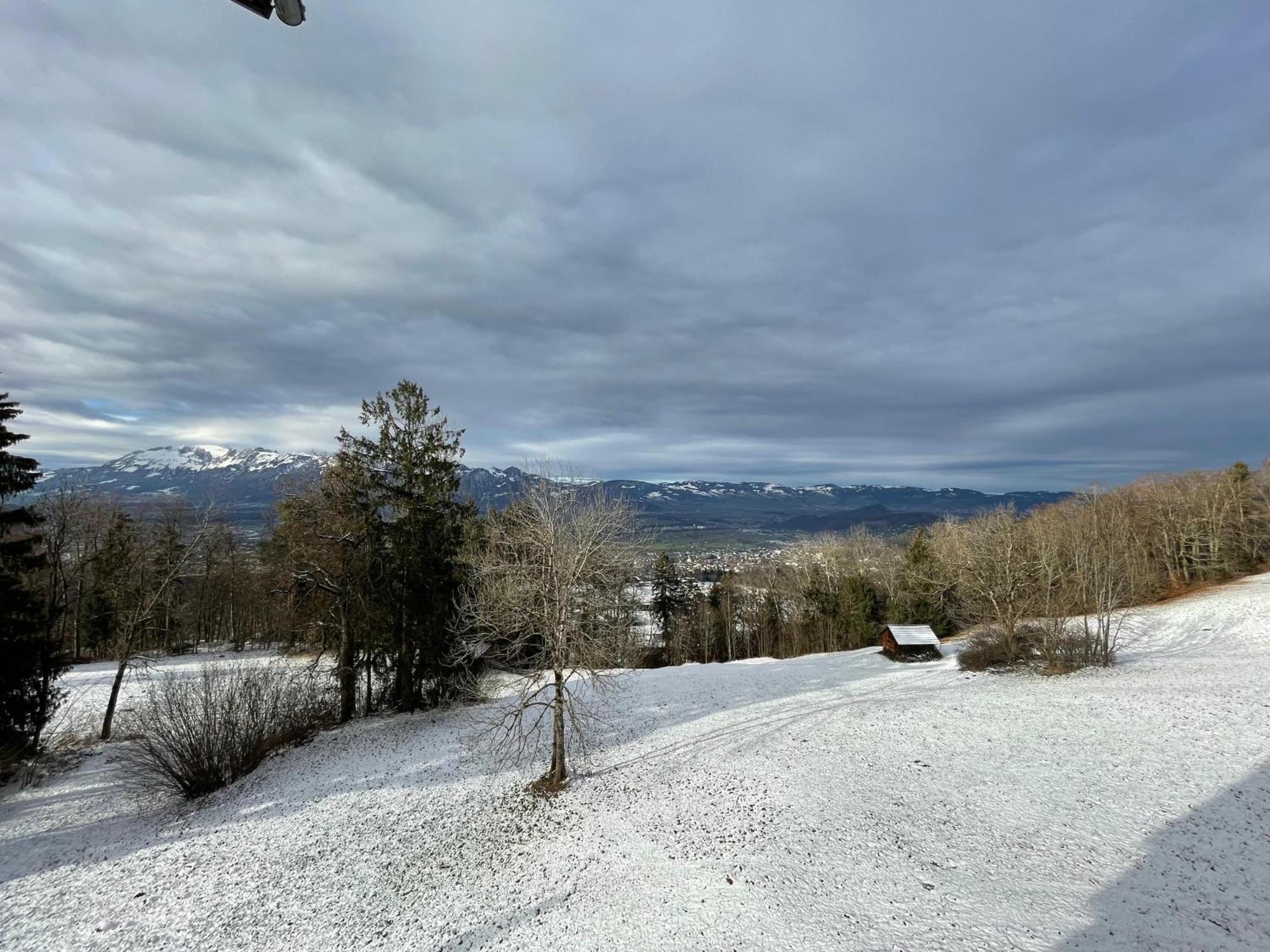 Gemuetliche Wohnung Mit Talblick Batschuns Екстер'єр фото