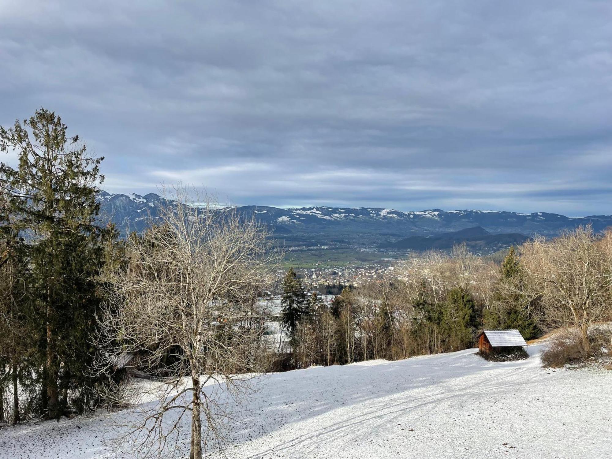 Gemuetliche Wohnung Mit Talblick Batschuns Екстер'єр фото