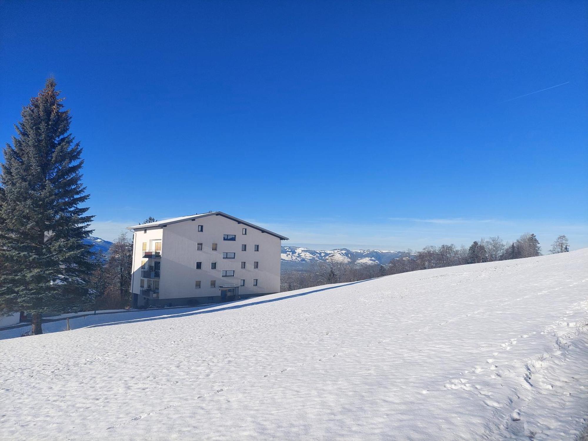 Gemuetliche Wohnung Mit Talblick Batschuns Екстер'єр фото